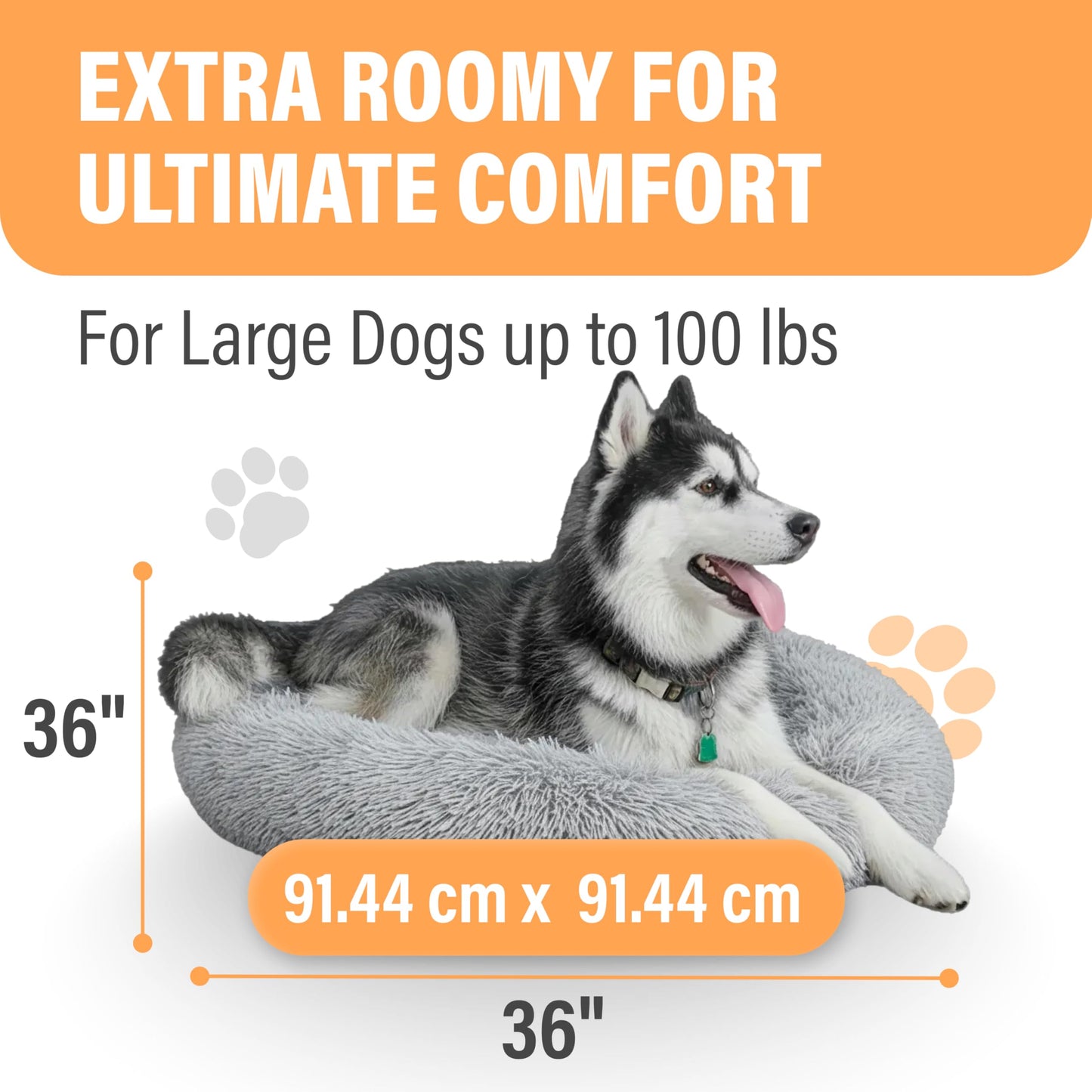 Dimensions for the large 36-inch Active Pets dog bed, showing it is extra roomy for large dogs up to 100 lbs