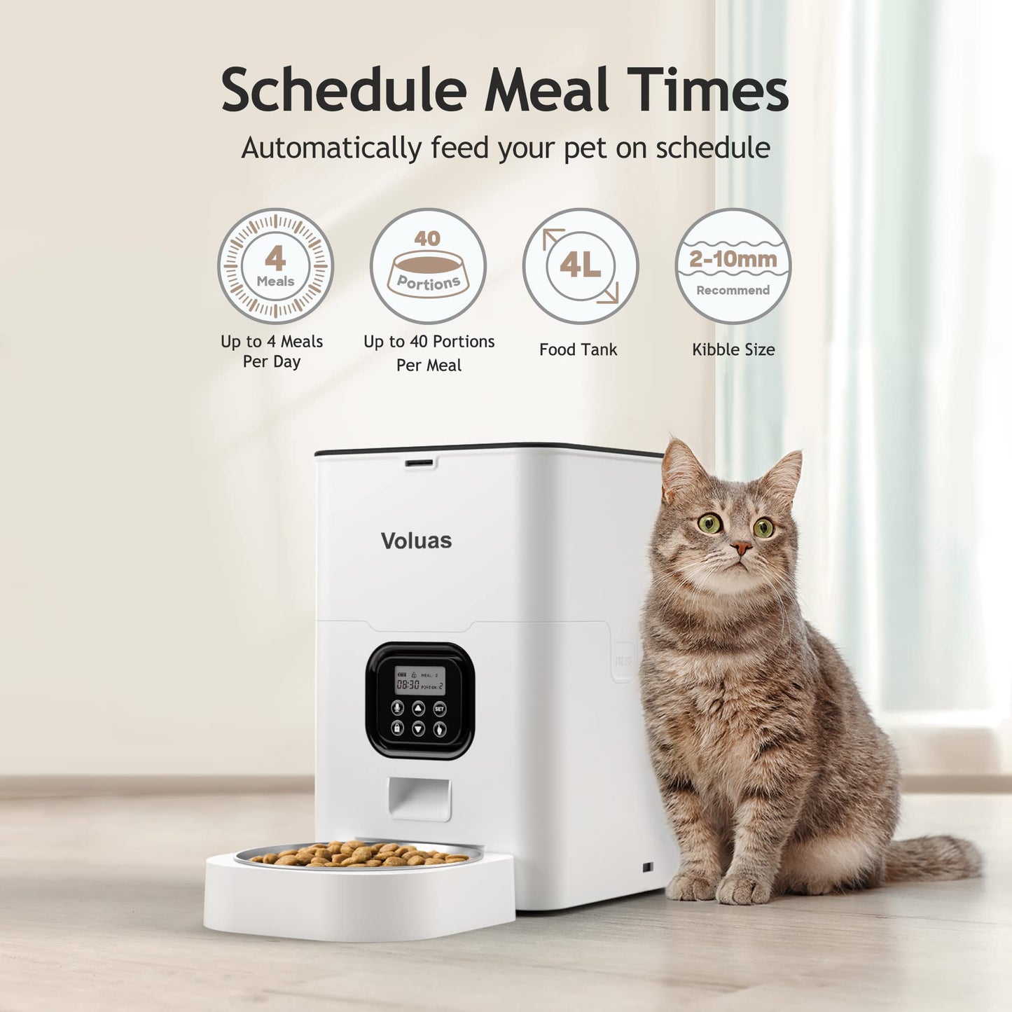 automatic cat feeder dispensing dry food into bowl