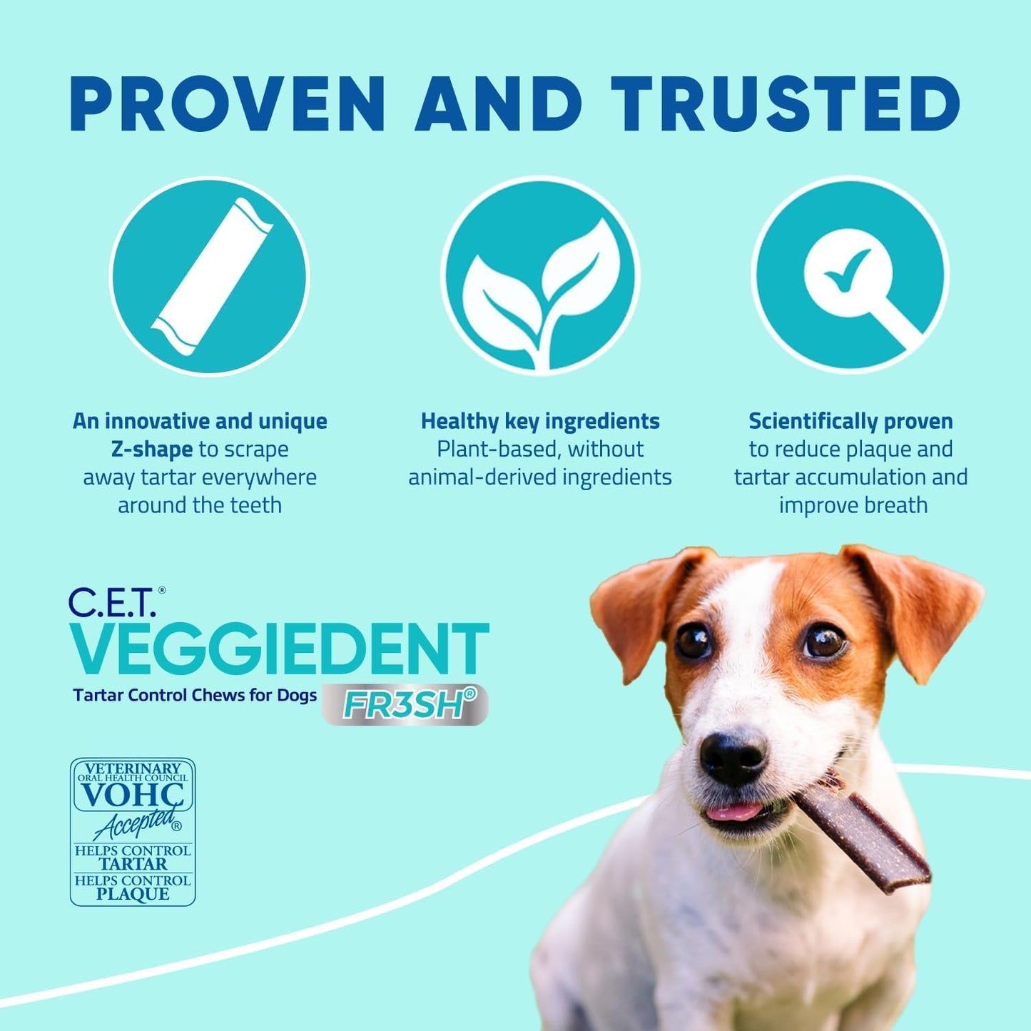 Infographic highlighting the patented Z-shape, healthy ingredients, and easy digestion.