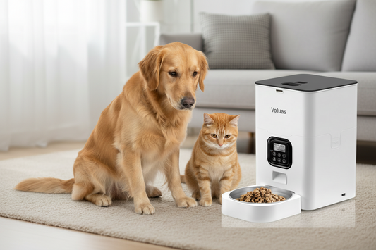 Dogs and cats are getting ready to eat in front of the VOLUAS Automatic Pet Feeder.