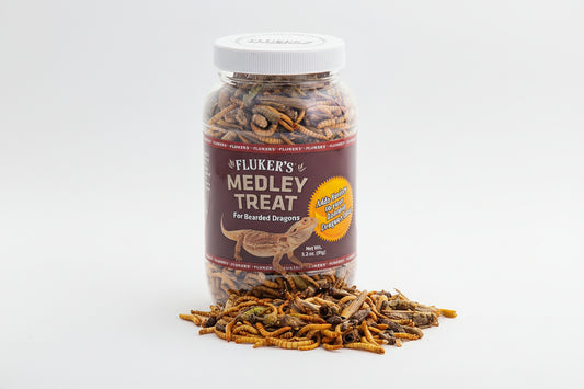Main product jar of Fluker's Protein Medley Treat with freeze-dried insects for reptiles.