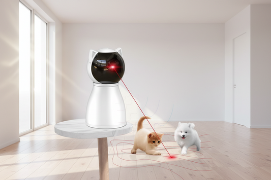 A cat and a dog are playing with a laser toy in the living room.